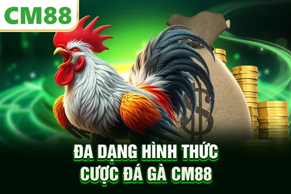 Đa dạng hình thức cược đá gà CM88