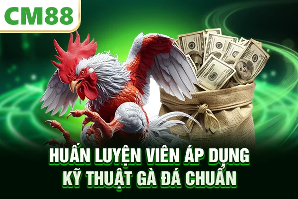 Huấn luyện viên áp dụng kỹ thuật gà đá chuẩn