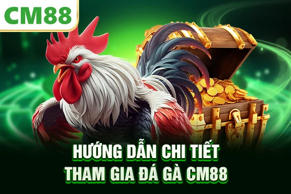 Hướng dẫn chi tiết tham gia đá gà CM88