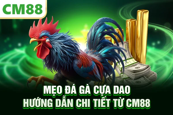 Mẹo Đá Gà Cựa Dao – Hướng Dẫn Chi Tiết Từ CM88