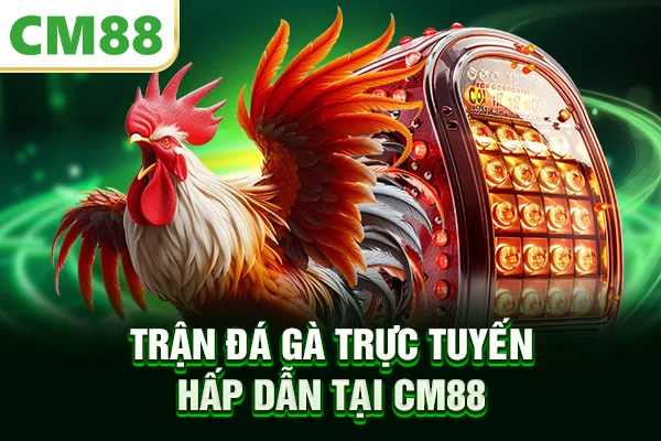 Trận đá gà trực tuyến hấp dẫn tại CM88